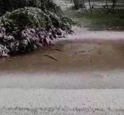 הסערה השתלמה: שלג ראשון החל לרדת. צפו