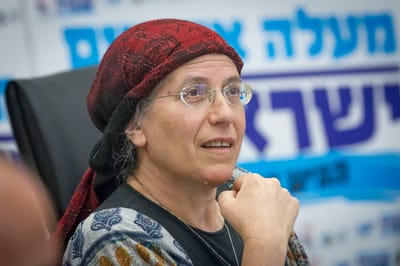 מי ימנע את תכנית המאה, גילה גמליאל או סטרוק?