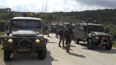 פיגוע דריסה ודקירה של מחבלת באזור חיזמא