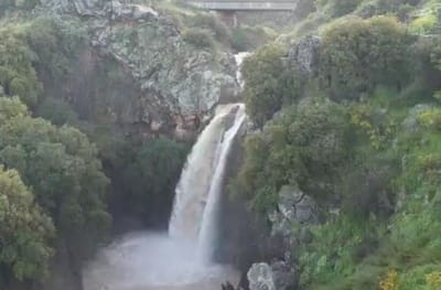 הזרימות האדירות שגורמות לעליה במפלס הכנרת. צפו