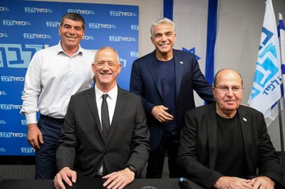 מבוכה 'בכחול לבן': מי יהיה הדובר של המפלגה?