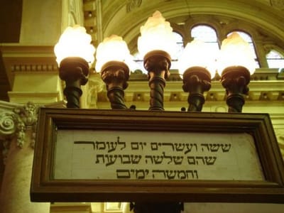מתרבות חיים בהמית לטהרת החיים הישראליים