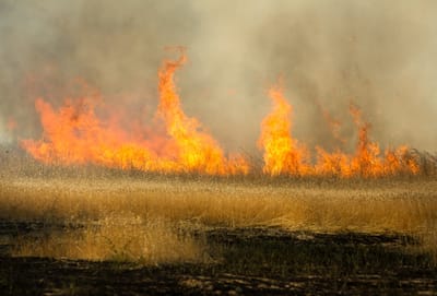 כמו לפני שנה: השדות בעוטף עזה שוב בוערים