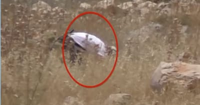 תיעוד: הפלסטינים מציתים, בצלם בהאשמה למתנחלים