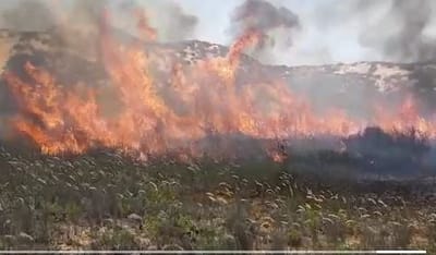 בלון תבערה נפל בפתח בית פרטי • 25 שריפות בעוטף