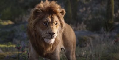 צפו: זה הדבר הכי טוב שיצא מהחידוש ל"מלך האריות"