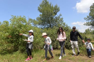 מה עושים באוגוסט? המדריך לחופש הגדול 2019