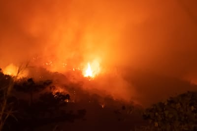 בעקבות השריפות באמזונס: 20 מיליון דולר יועברו לסיוע