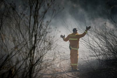 שריפה בשומרון באיזור מבוא דותן
