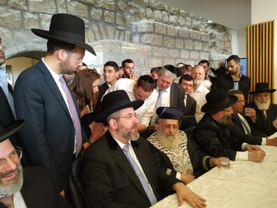 הרבנות הראשית: לא נוכל להבטיח מזון כשר לבתי חולים