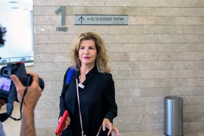 הדס שטייף: לא פרצתי לטלפון של אפי נוה