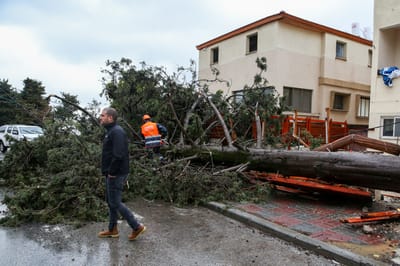 נזקי מזג האוויר: המדריך המלא לנפגעי הסערה