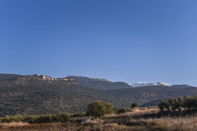 החום יימשך; הגשם והשלג בדרך: תחזית מזג האוויר