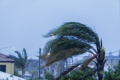 לבטל טיולים ולקשור חפצים: הנחיות לקראת הסערה