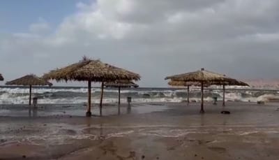 מטורף: חופי אילת הוצפו; העץ המפורסם קרס