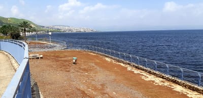 הפער נסגר: מפלס הכנרת ממשיך לעלות