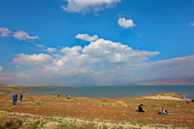 עלייה בטמפרטורות, רוחות וגשם: תחזית מזג האוויר