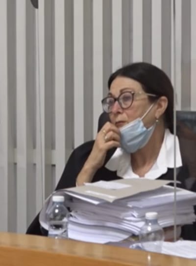 עו"ד על הפרשה • שלח: חטא המרגלים – גרסת 2020