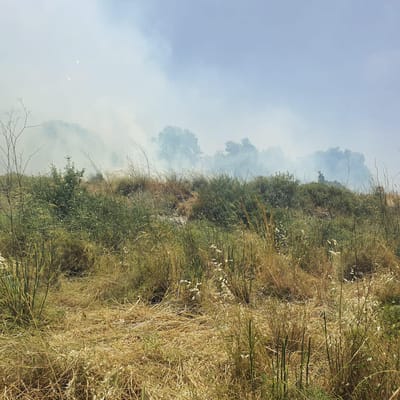 שריפה ענקית ביישוב גבע בנימין;תושבים פונו מבתיהם