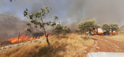 שריפה ענקית סמוך לגבעת רונן; העלייה ליישוב נחסמה