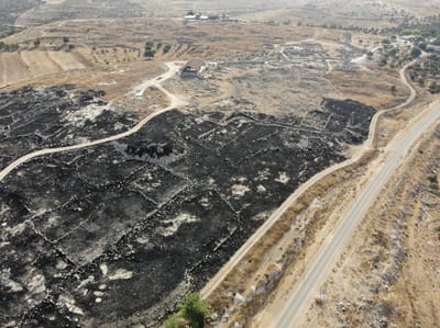 'אויב חדש – ישן ממשיך לאחוז באכזריות בנשק האש'