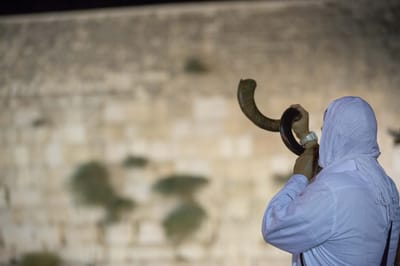 במרפסת או בבי"כ? אנחנו נחליט אילו ימים נוראיים יהיו לנו