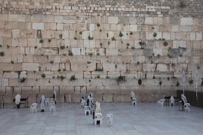 מהבית: הלל, תפילה ותיקון הושענא רבה בכותל הדרומי