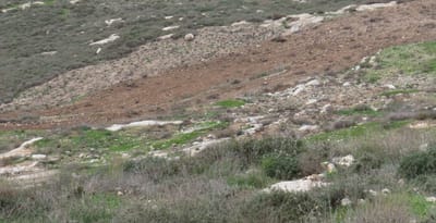 ביקורת חריפה על המחטף הערבי ליד גבעת קומי אורי