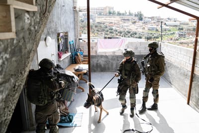 תיעוד: כך תופסים אמל"ח וכסף טרור בהר חברון