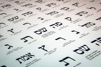 עדיין נמוך: אחוז ההצבעה 60.9% | יומן בחירות מתעדכן