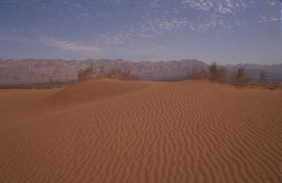למנוע טרגדיה: אזהרה בעקבות גל החום כבד