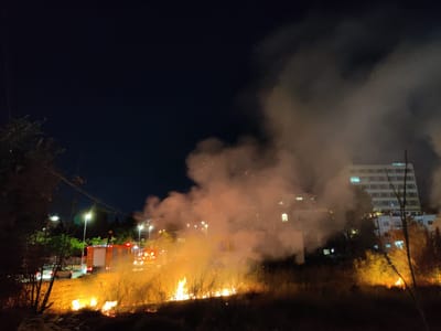 מהומות בשייח ג'ראח: אבנים ובקבוקי תבערה נזרקו
