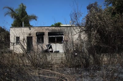 כוחות הכיבוי: "ידרשו עשרות שנים לשקם את מה שאבד"