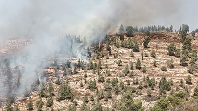 גוש עציון: שריפת ענק סמוך ליישוב גבעות