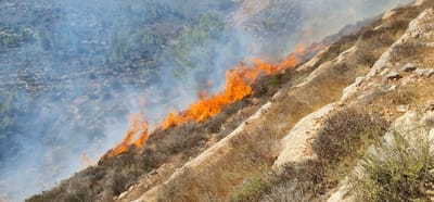 שריפה בהר גילה: ציר וואלג'ה נחסם לתנועה