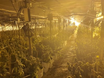 אחד החשודים בהברחת סמים: אביו של סלב מוכר