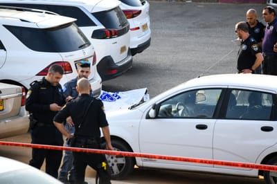 פרטים חדשים על חיסולו של אלדד פרי