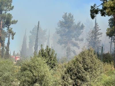 הושגה הכלה על השריפה ביער אשתאול