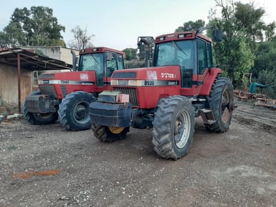 חוגגים את האור עם "פסטיבל חקלאות ושמיטה"