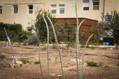 היישוב הראשון בגוש עציון חובר לסיב אופטי
