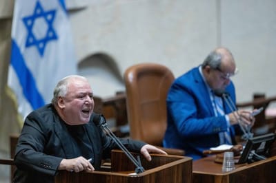 אמסלם במליאה