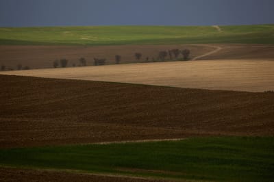 צעד נוסף לקראת הקמת יישוב חדש בעוטף עזה