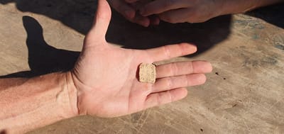 קמע עתיק עם האות א' ופרח לוטוס נמצא בשומרון