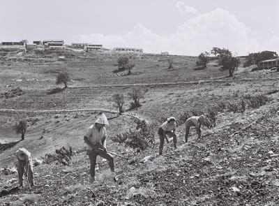 היום בהיסטוריה: חלל נצר אחרון הצעיר ביותר