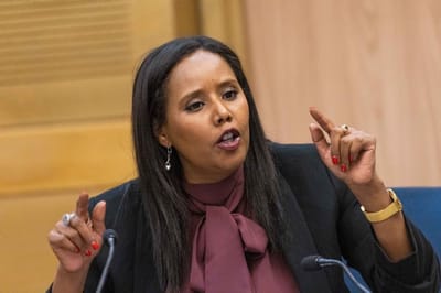 עימות חריף בממשלה: "אתם הלבנים גזעניים"