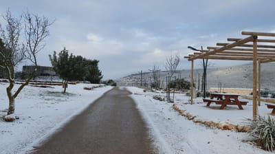 צפו: שלג קל בירושלים, בגליל התעוררו לבוקר לבן