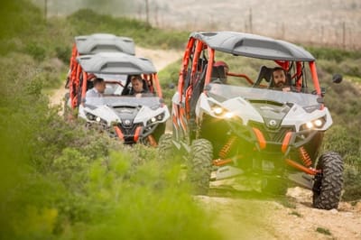 חול המועד פסח בגוש עציון: כל האירועים והמקומות