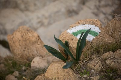סכנת חיים: אלה הנחלים שייסגרו לכניסת מטיילים
