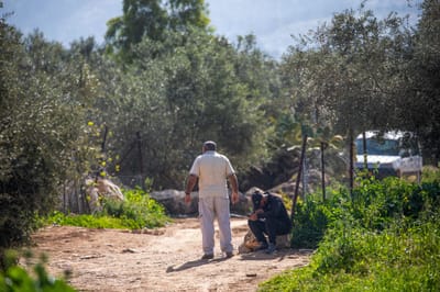 למעלה מ-100 שב"חים נתפסו ביממה האחרונה
