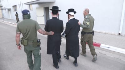 עם פטישים וסכינים: נעצרו חשודים בחבלה במירון